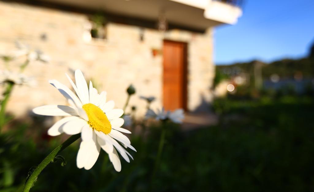 Hayitbuku Ahsapevleri Mesudiye (Datca) Exterior photo