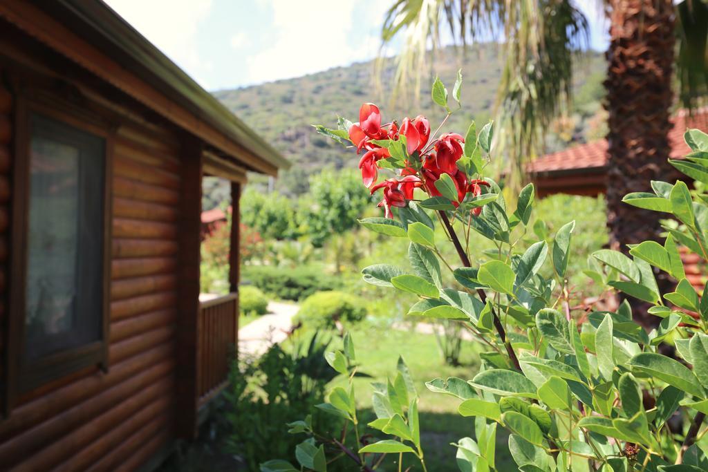 Hayitbuku Ahsapevleri Mesudiye (Datca) Exterior photo