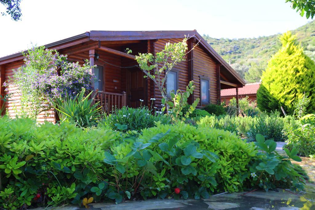 Hayitbuku Ahsapevleri Mesudiye (Datca) Exterior photo